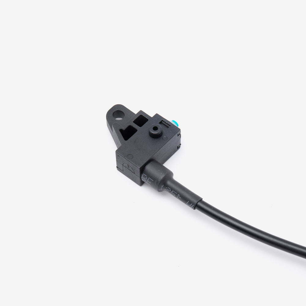 Rear Brake Switch