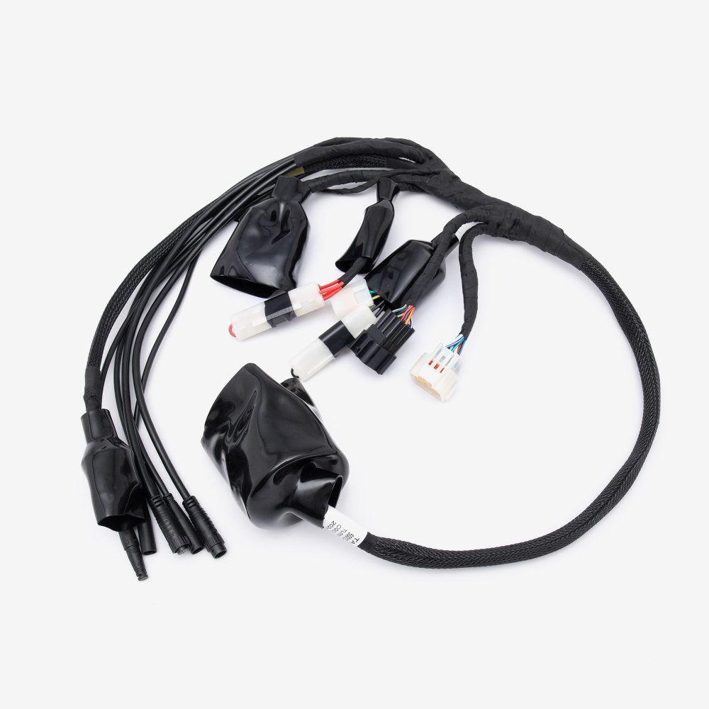 Wiring Loom