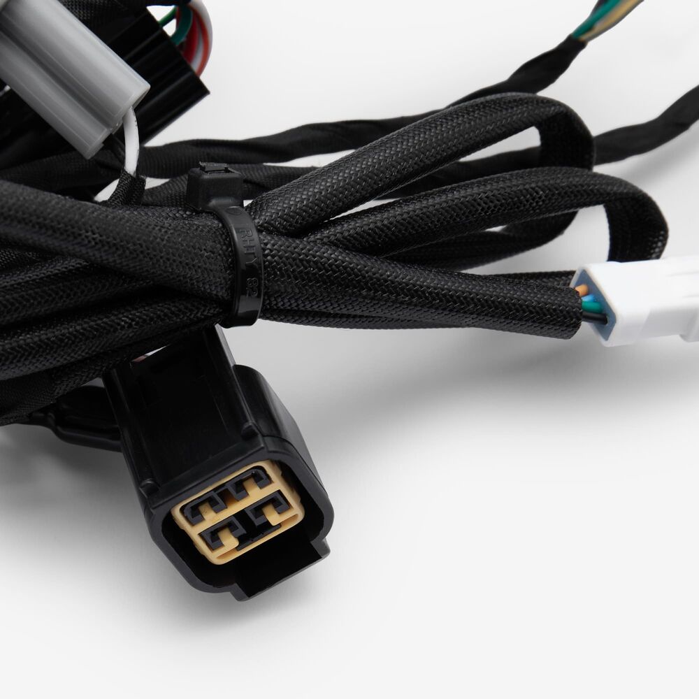 Wiring Loom