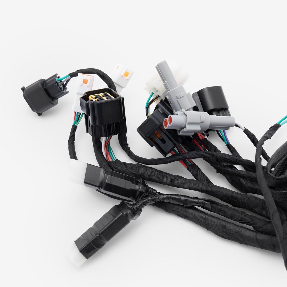 Wiring Loom