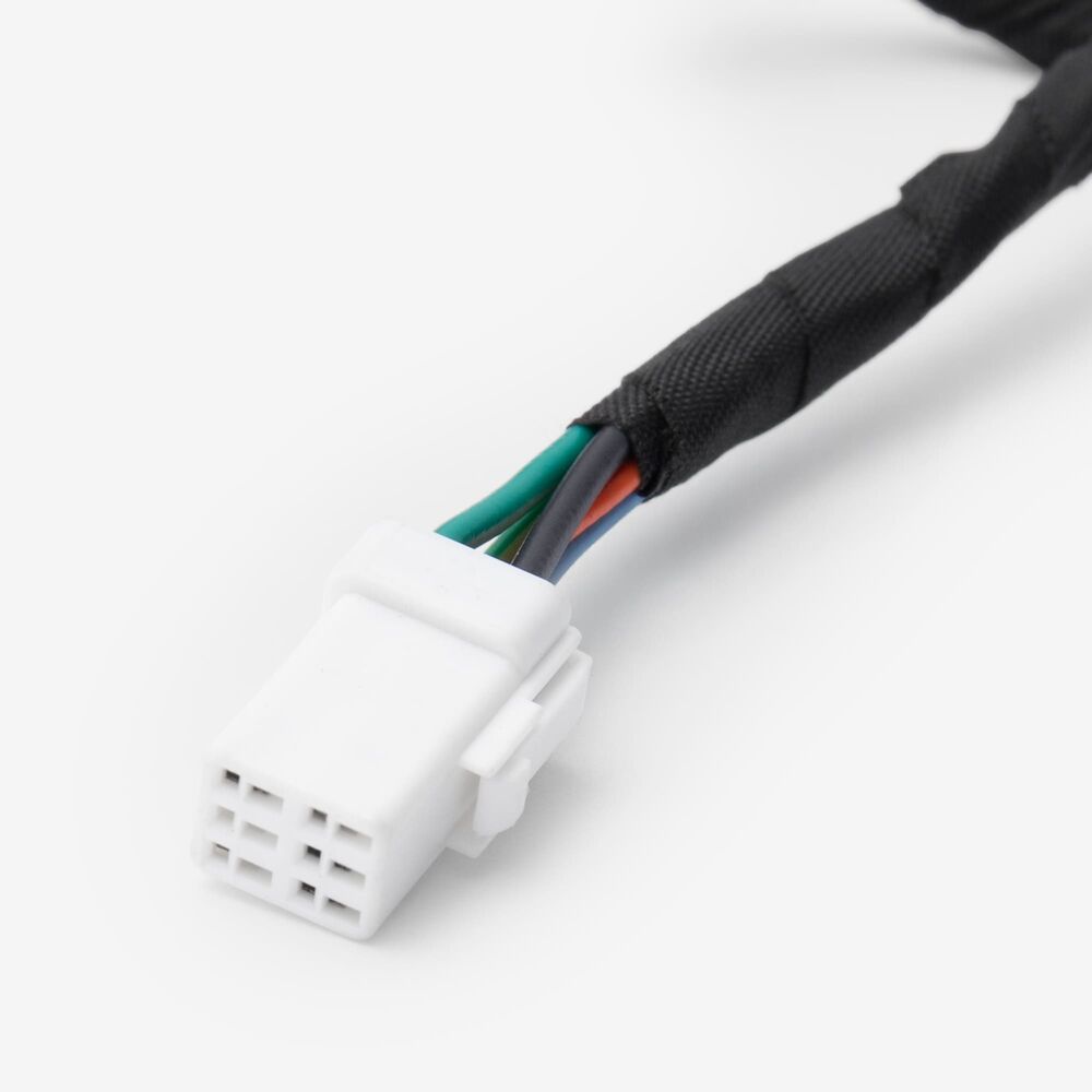 Wiring Loom