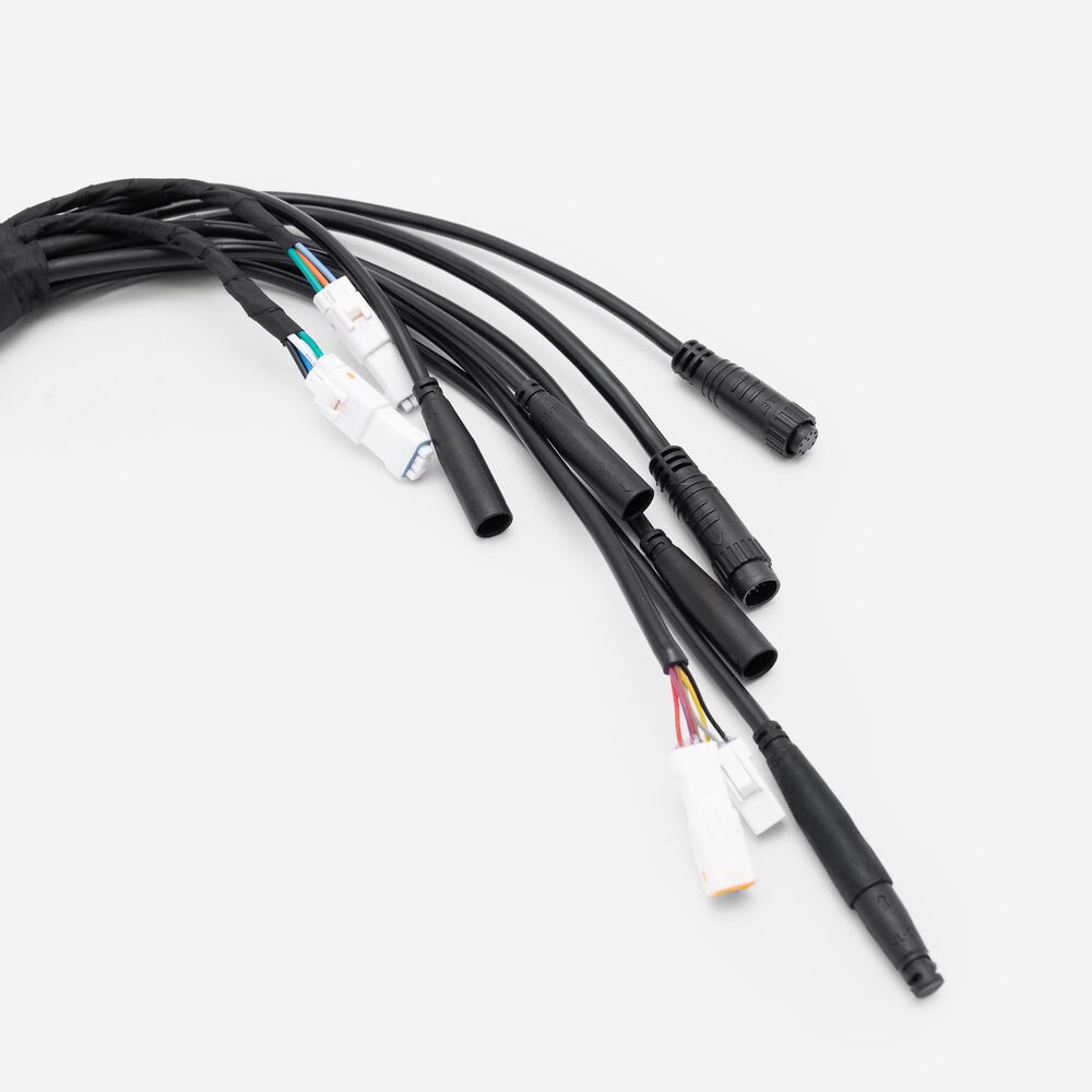 Wiring Loom