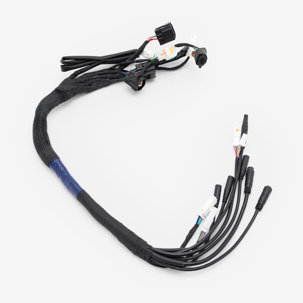 Wiring Loom