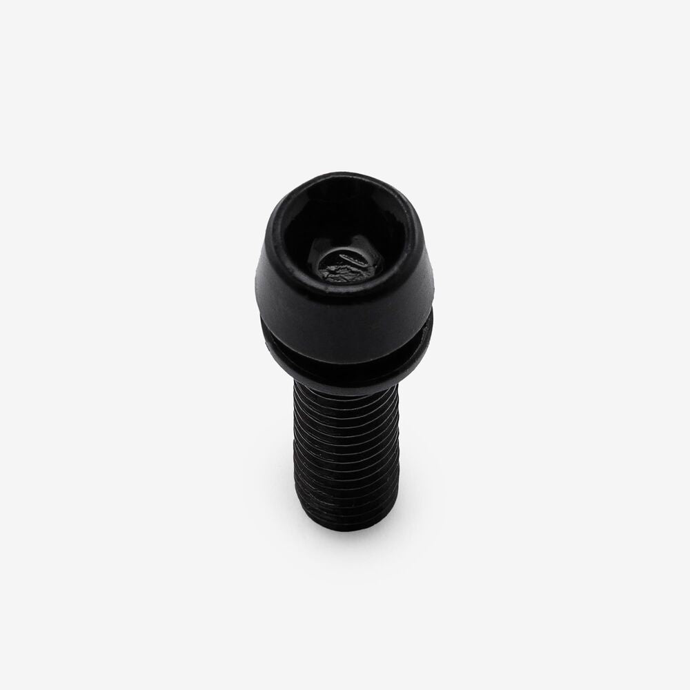 Bolt and Spring Washer M5 x 19mm