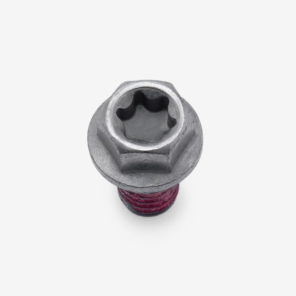Bolt M6 x 10mm