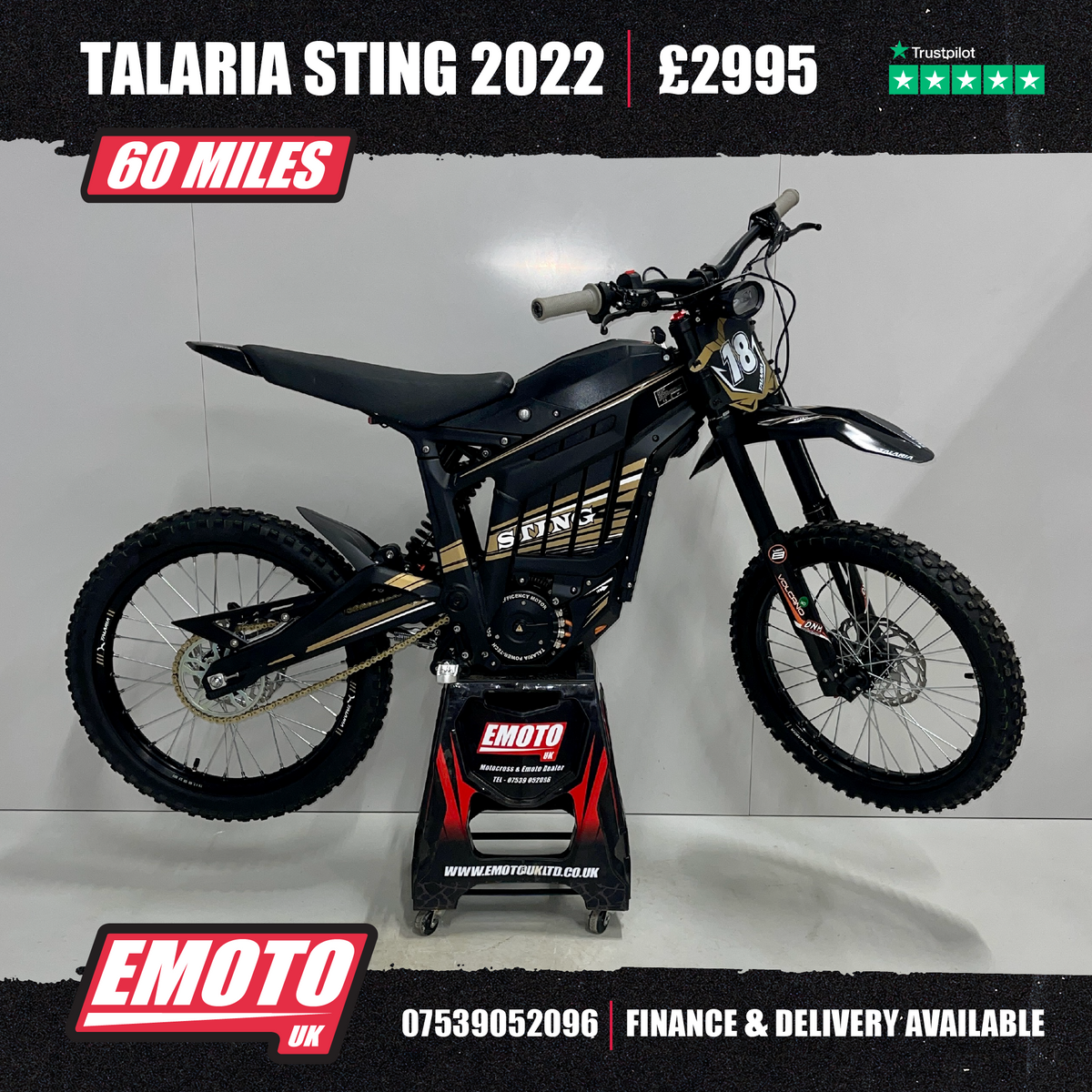 2022 STING