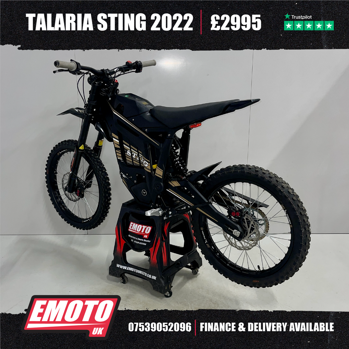 2022 STING