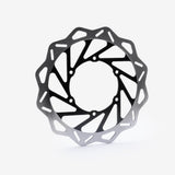 Front Brake Disc