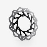 Rear Brake Disc