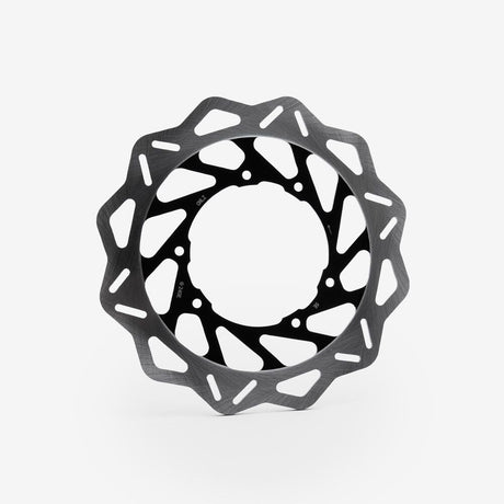 Rear Brake Disc