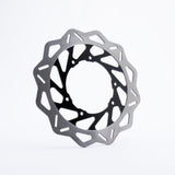 Rear Brake Disc