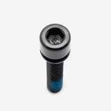 Caliper Pin M6 x 30mm