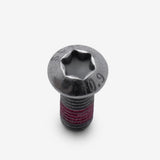 Disc Bolt