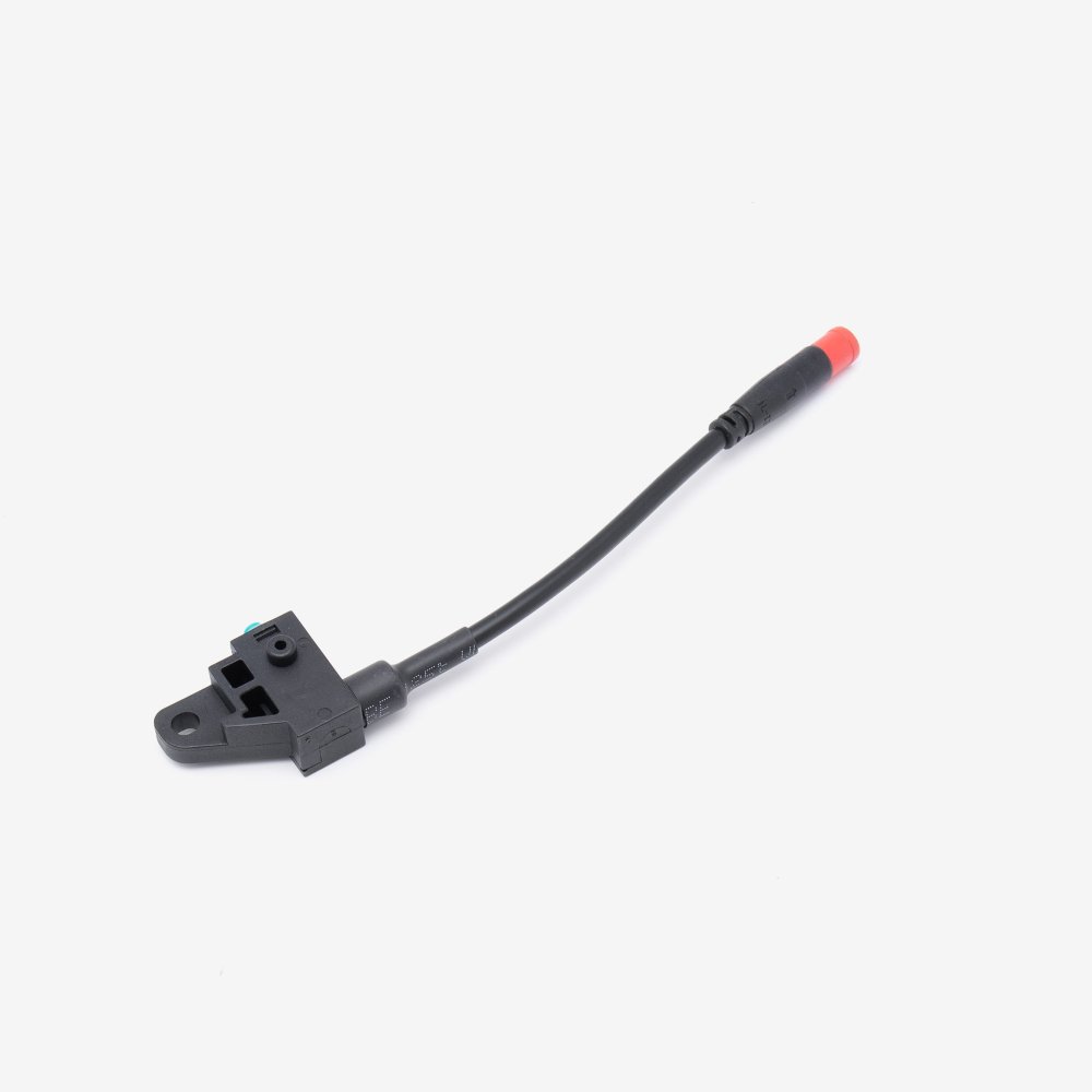Rear Brake Switch