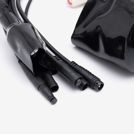 Wiring Loom