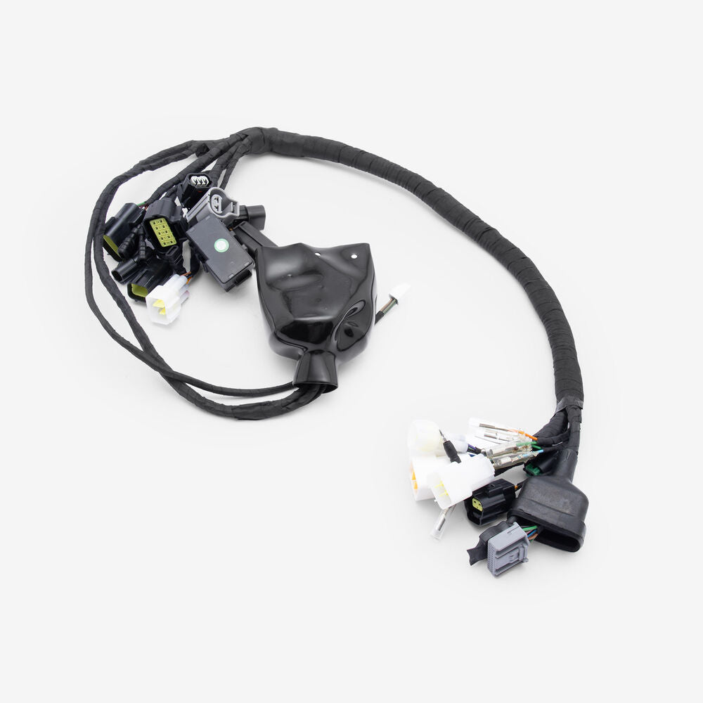 Full-E Charged Wiring Loom for Ultra Bee