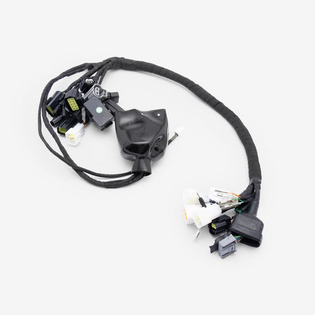 Full-E Charged Wiring Loom for Ultra Bee