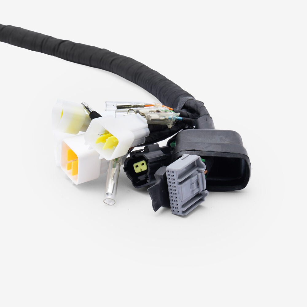 Full-E Charged Wiring Loom for Ultra Bee