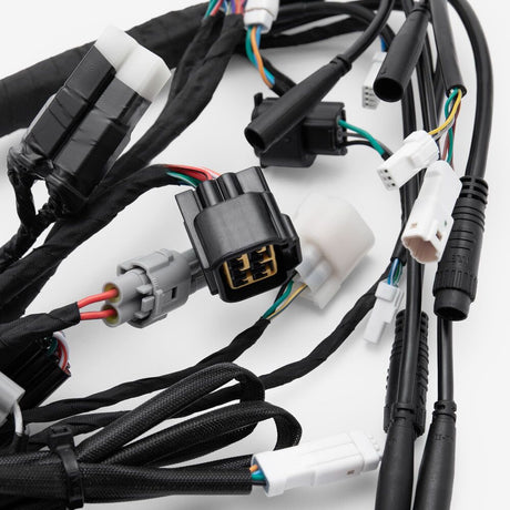 Wiring Loom