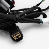 Wiring Loom