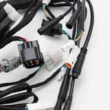 Wiring Loom