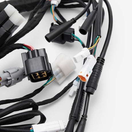 Wiring Loom