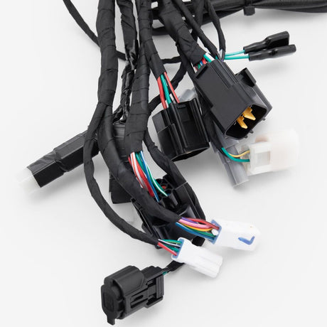 Wiring Loom