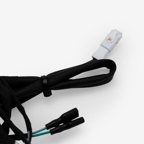 Wiring Loom