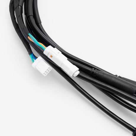 Wiring Loom