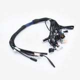 Wiring Loom
