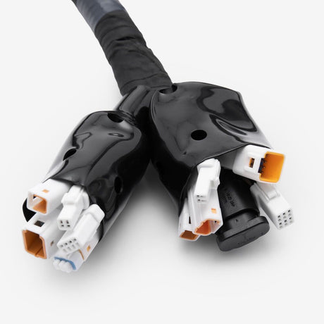 Wiring Loom
