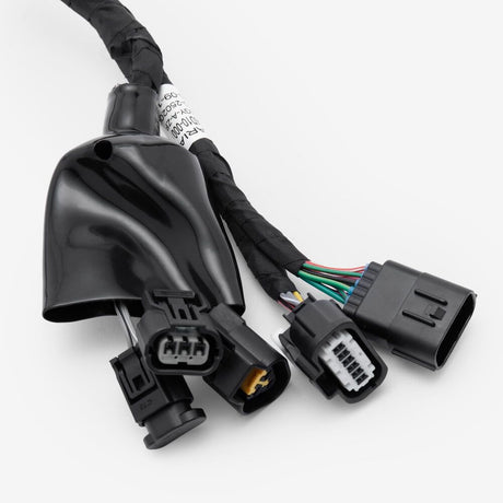Wiring Loom