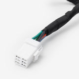 Wiring Loom