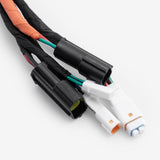 Wiring Loom