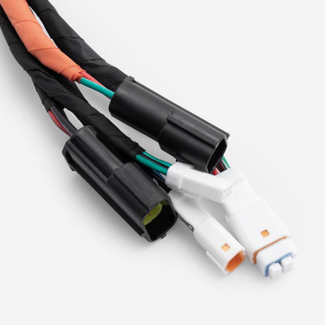 Wiring Loom