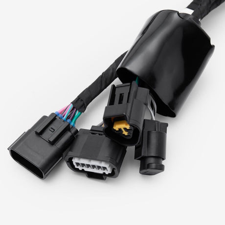 Wiring Loom