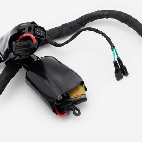 Wiring Loom