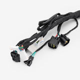 Wiring Loom
