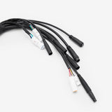 Wiring Loom