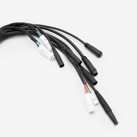 Wiring Loom