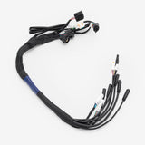 Wiring Loom