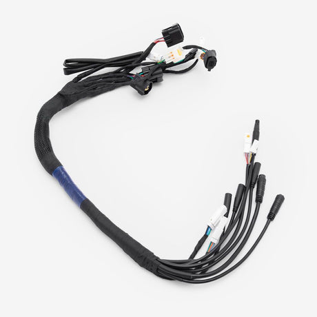Wiring Loom