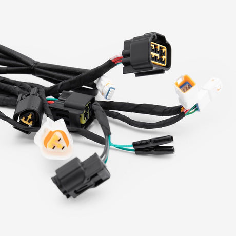 Wiring Loom