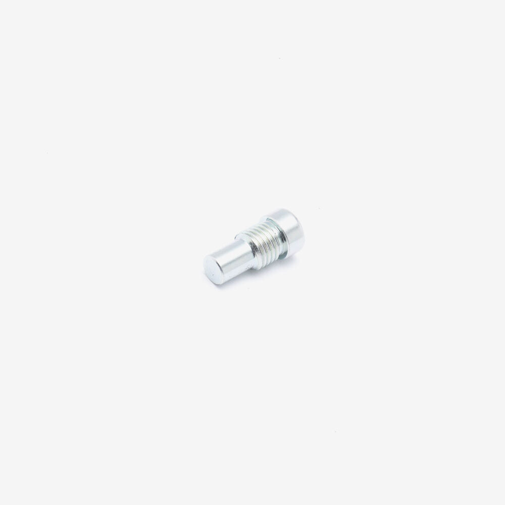 Battery Compartment Cover Bolt M8 x 19mm
