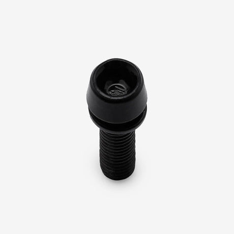 Bolt and Spring Washer M5 x 19mm