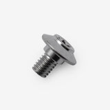 Bolt M6 x 10mm