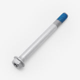 Bolt M10 x 100mm