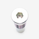 Battery Compartment Cover Bolt