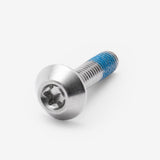 Bolt M6 x 25mm