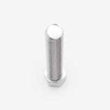 Chain Tensioner Bolt